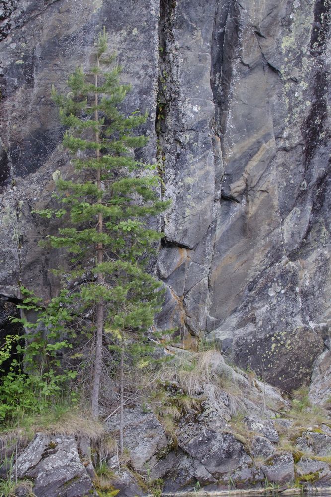 Фотография автора Людмила Куприянова