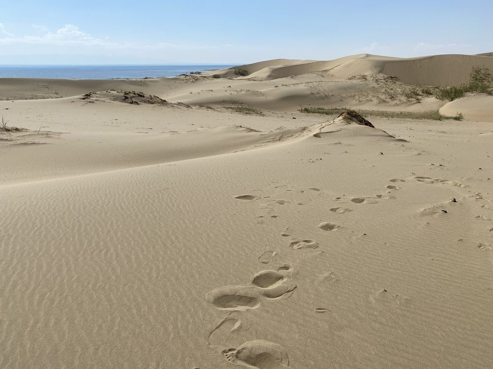 Фотография автора Ольга Горюнова
