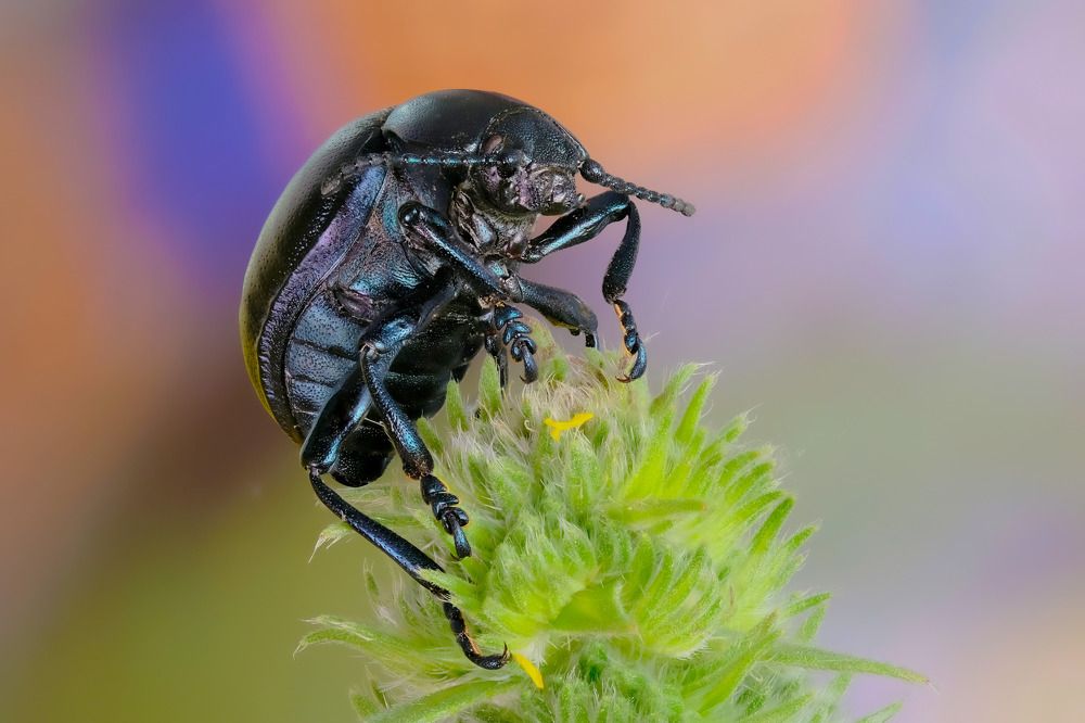 Фотография автора Роман Сергеевич
