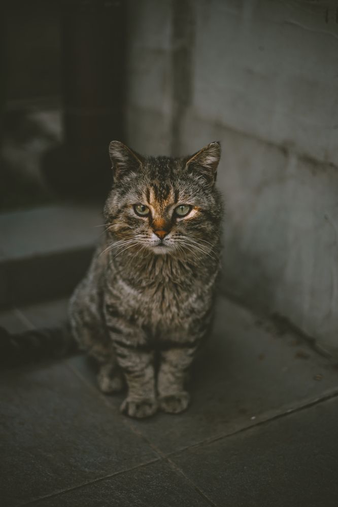 Photograph by Таисия Ищенко