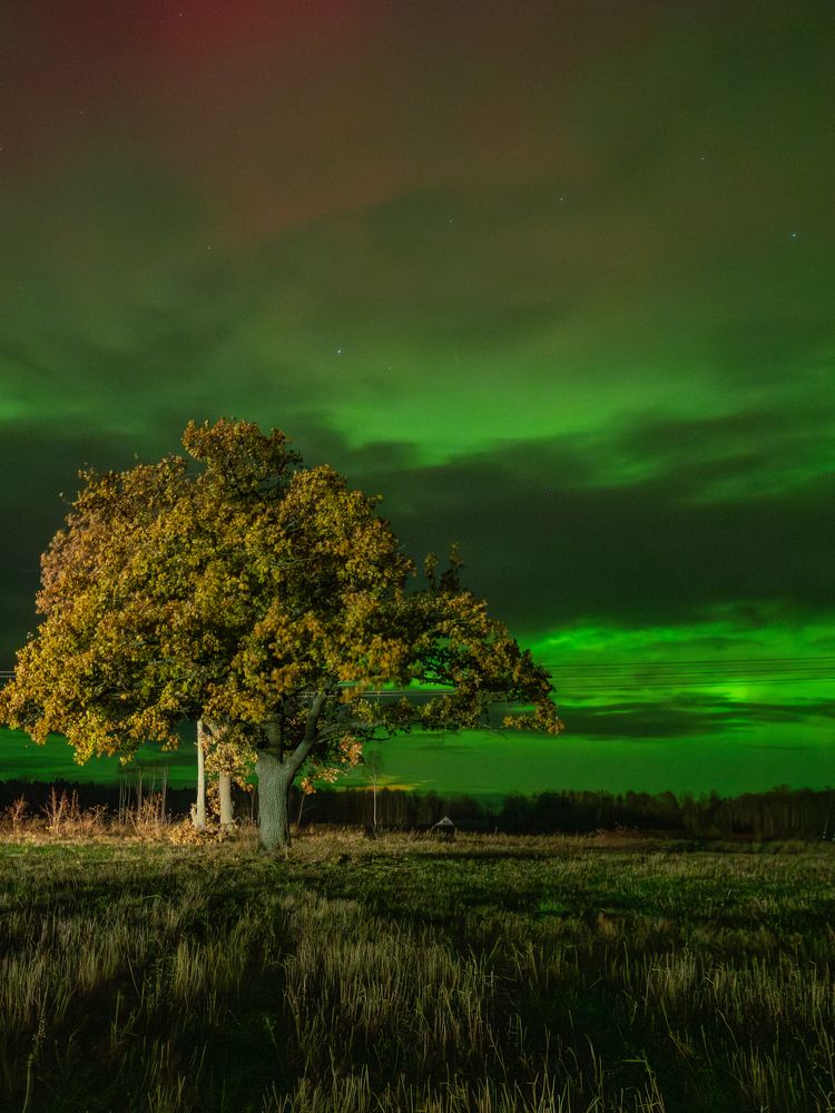 Photograph by Jurate Kastritskaja