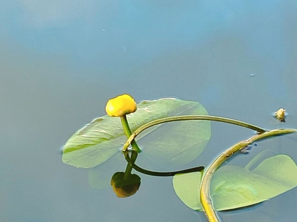 Photograph by Юлия Холомцева