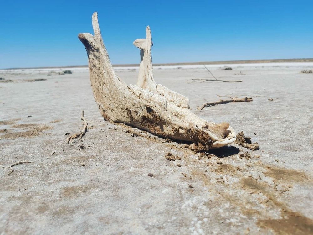 Photograph by Олег Лебедев