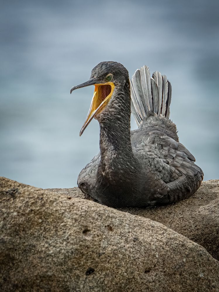 Photograph by Andrea Barlotti