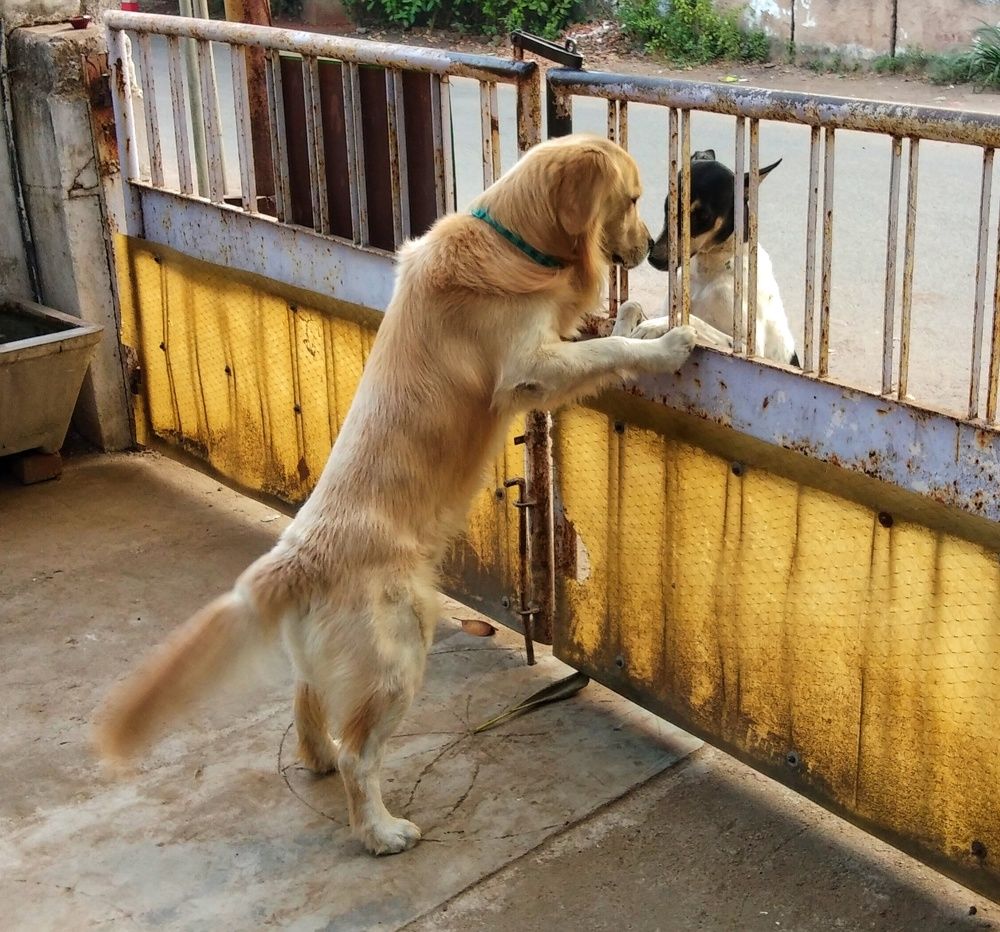 Photograph by Manish (Valmie) Joshi