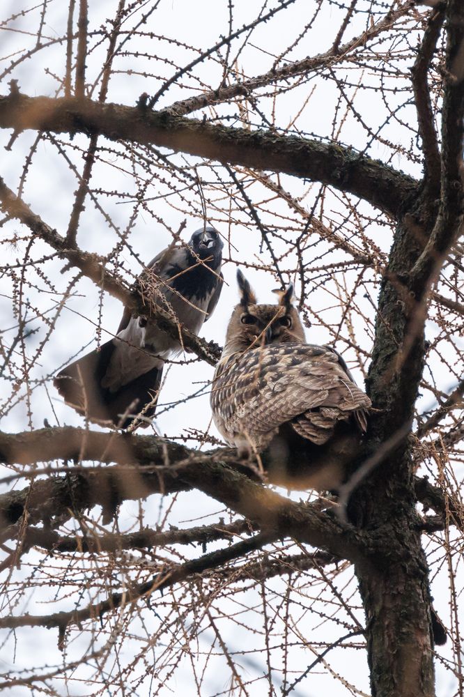 Photograph by Илья Юфа