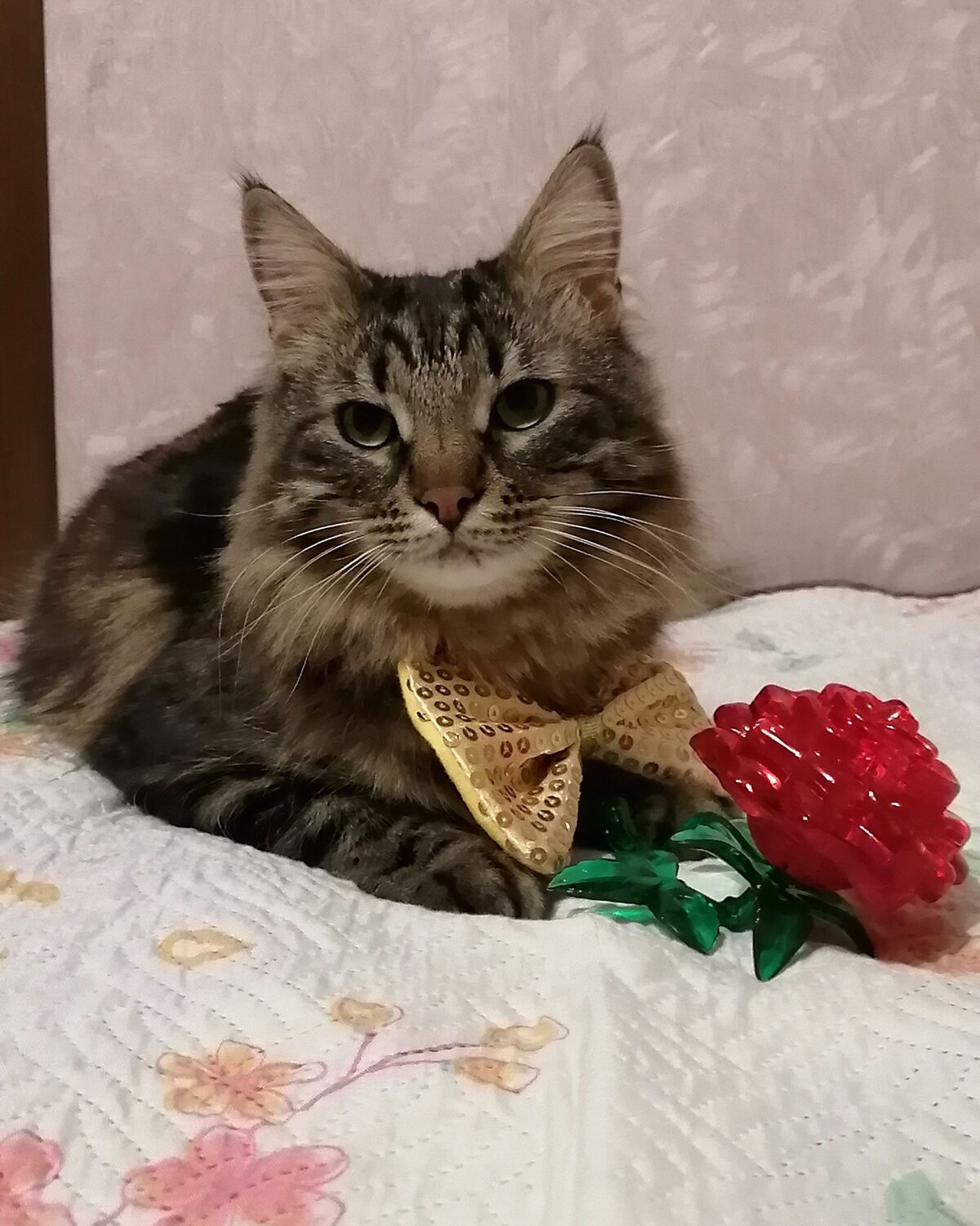 Photo #10786344