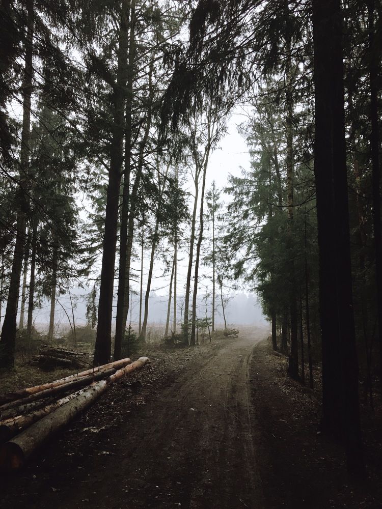 Photograph by  Дмитрий Михайлович