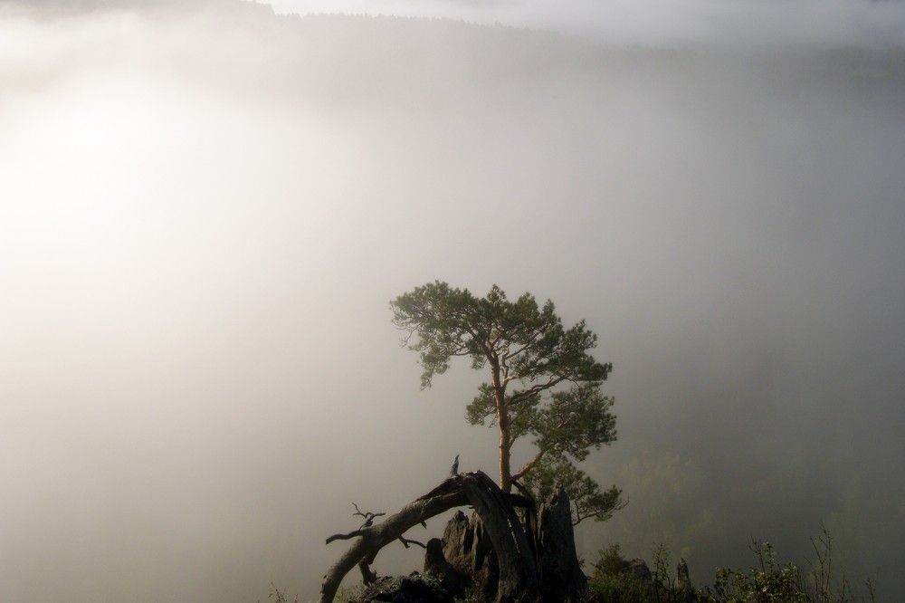 Photograph by Маринова Марина