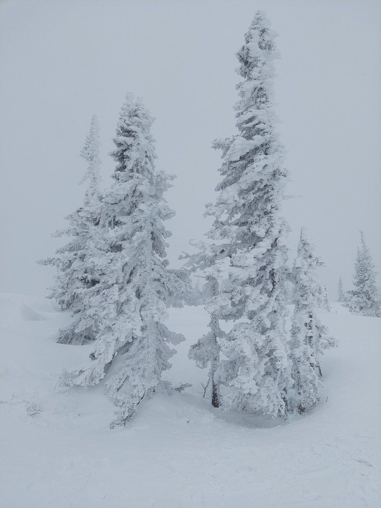 Photograph by Маринова Марина