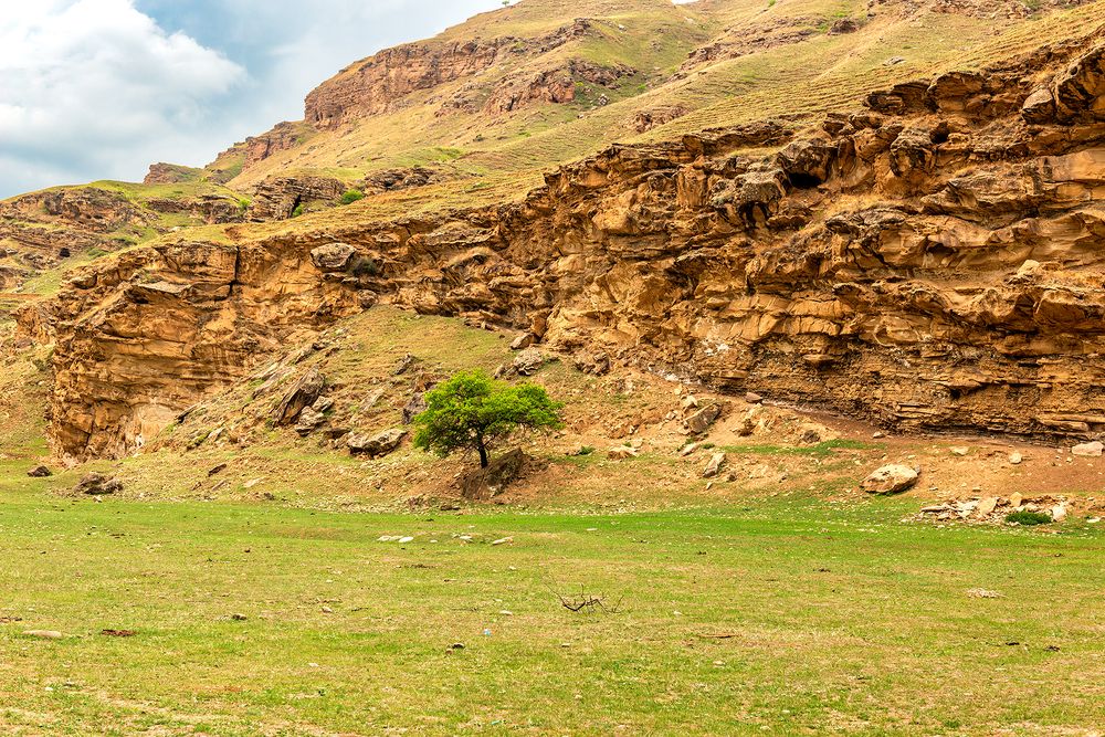 Photograph by Владимир Ушаров