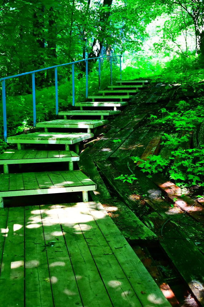 Photograph by Ксения Лебедева