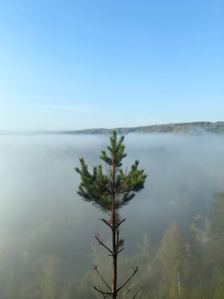 Photograph by Маринова Марина