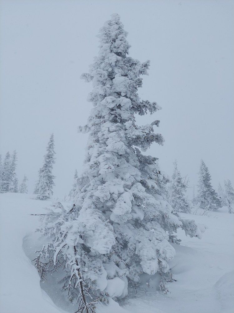 Photograph by Маринова Марина