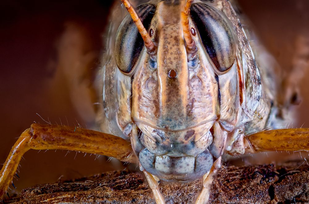 Photograph by Юрий Яковлевич