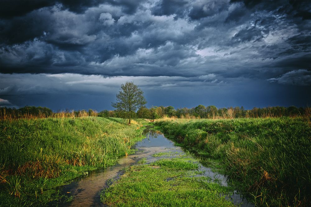 Photograph by Алексей Бондаренко