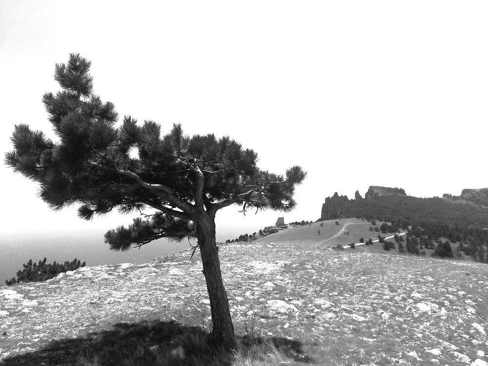 Photograph by Галина Воеводенко