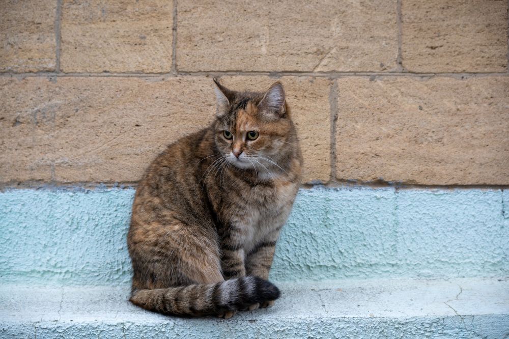 Photograph by Виталий Маслов