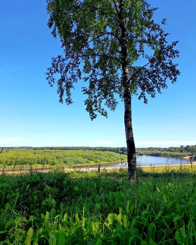 Photograph by Ольга Березовская