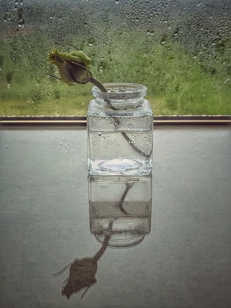 Фотография автора НАТАЛЬЯ СЕВЕР