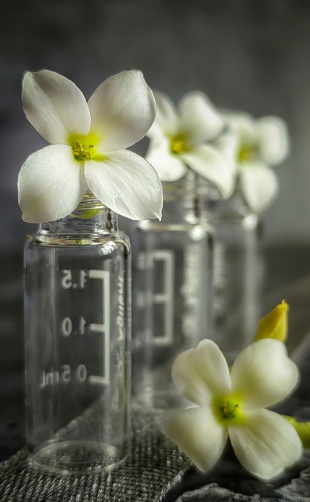 Фотография автора НАТАЛЬЯ СЕВЕР