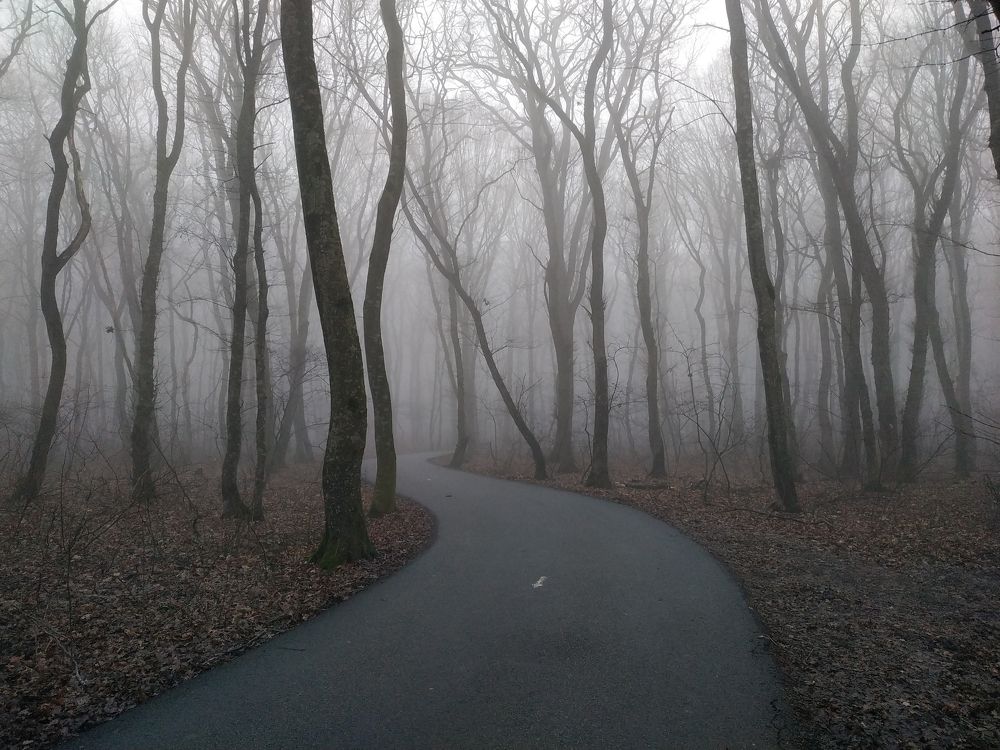 Photograph by Виталий Маслов