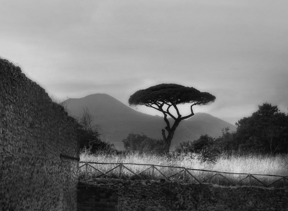 Photograph by Viviana García