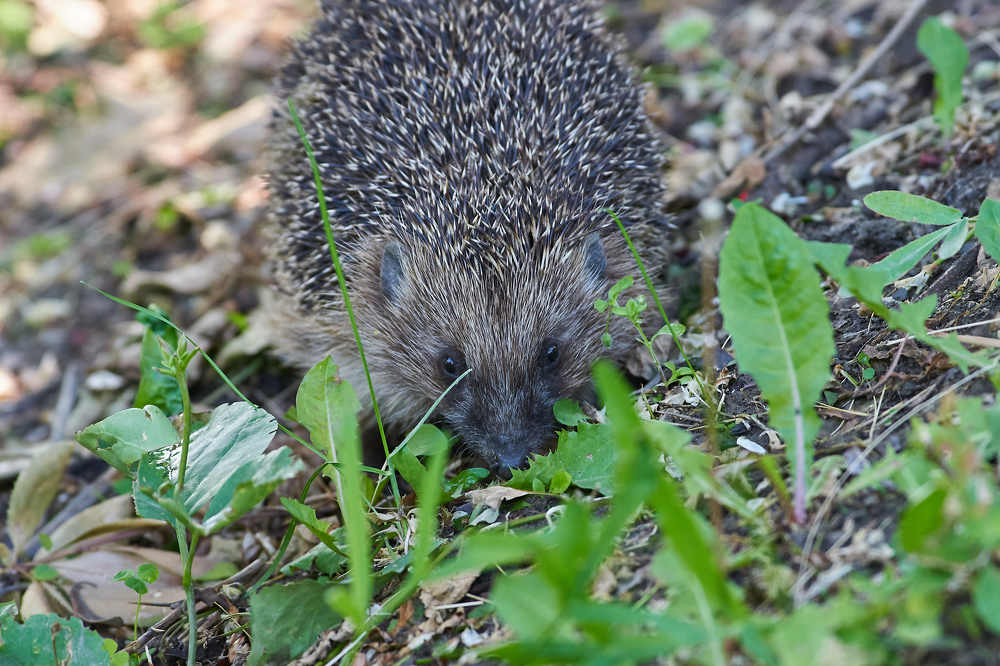 Photograph by Павел Сторчилов