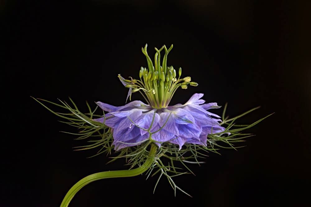 Photograph by Сергей Прокофьев