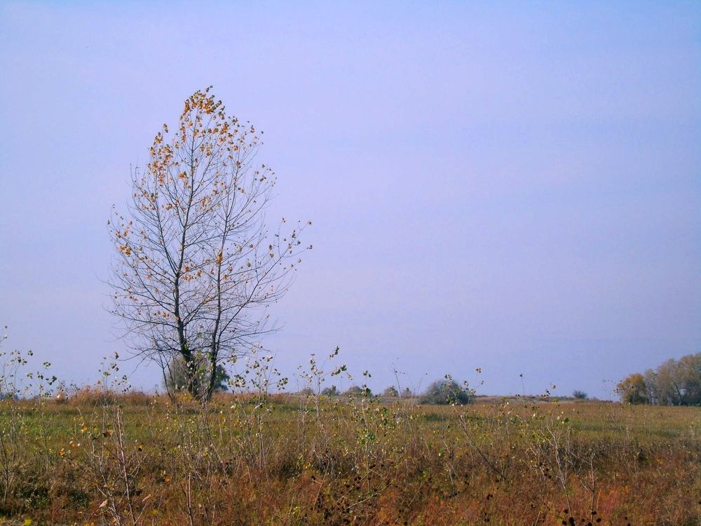 Photograph by Надежда Батракова