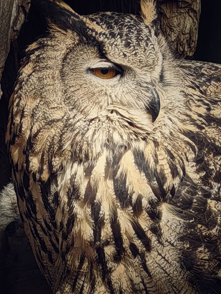 Фотография автора НАТАЛЬЯ СЕВЕР