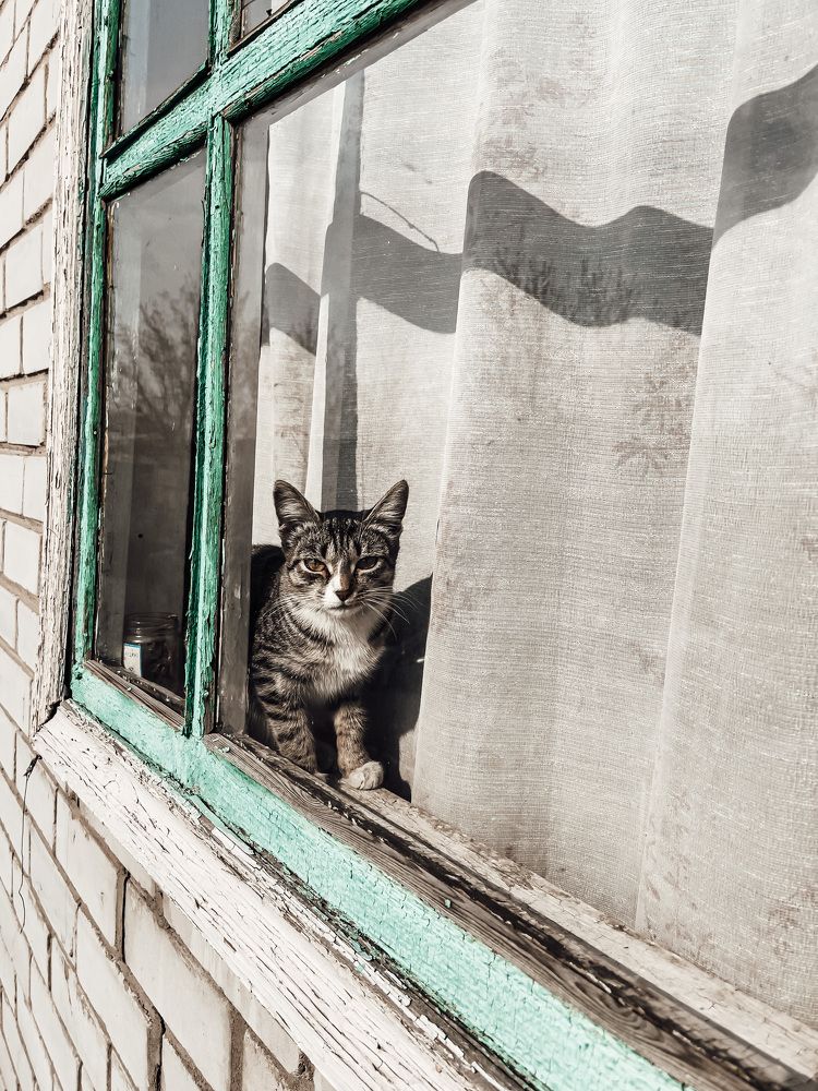 Photograph by Asylkhan