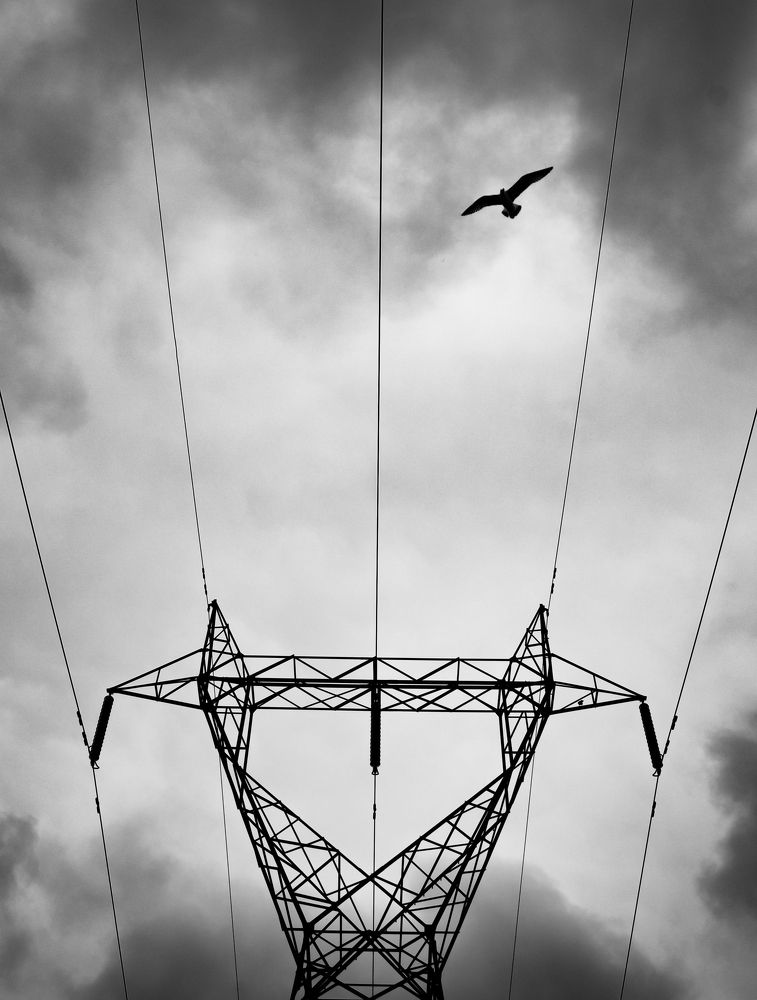 Photograph by Artin darvishi