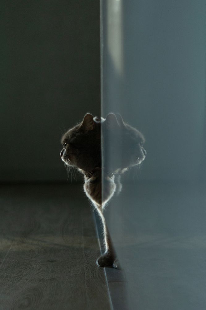 Photograph by Наталья Житинева