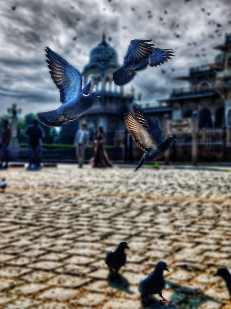 Photograph by prashant bamnawat