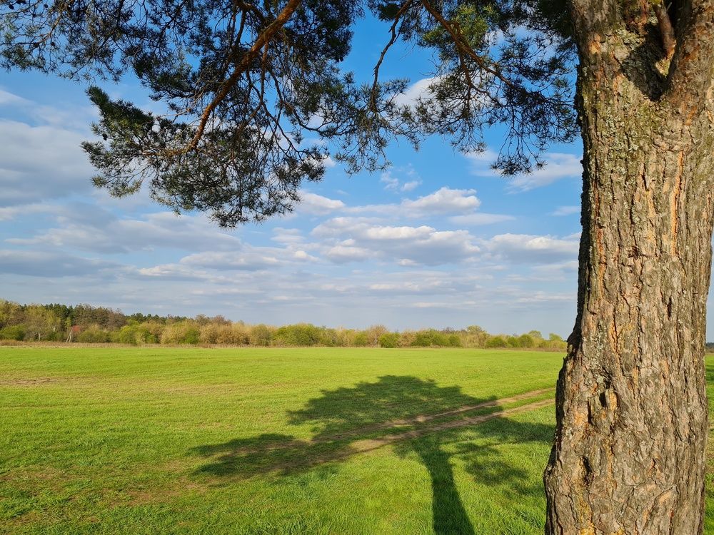 Photograph by Екатерина