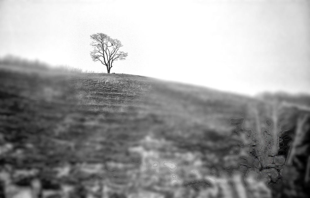 Photograph by Vitaliy Saposhnikov