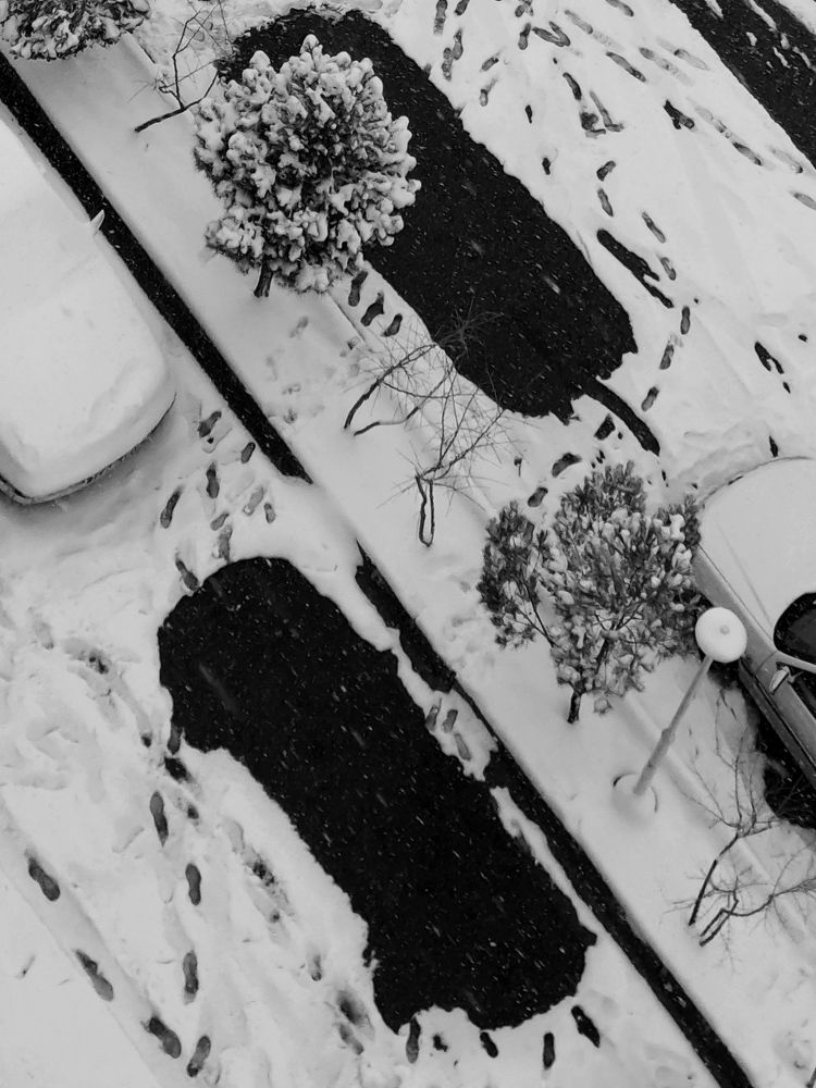 Photograph by Saeed Nosrati