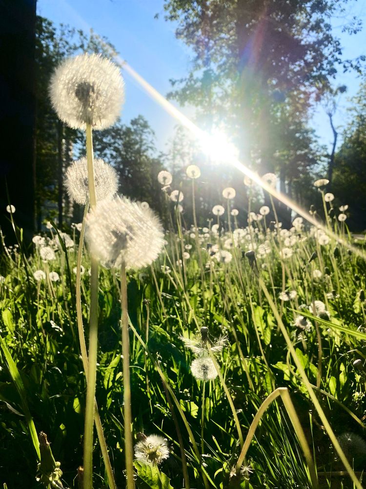 Photograph by Елена Изотова