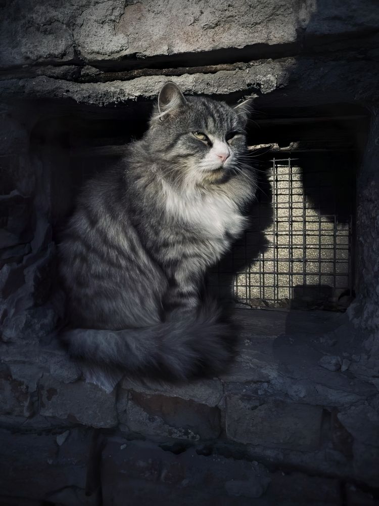 Photograph by Дмитрий Королёв