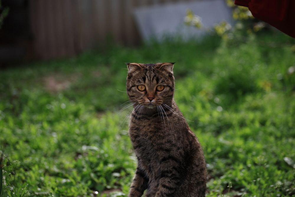 Photograph by Артур Крематорин