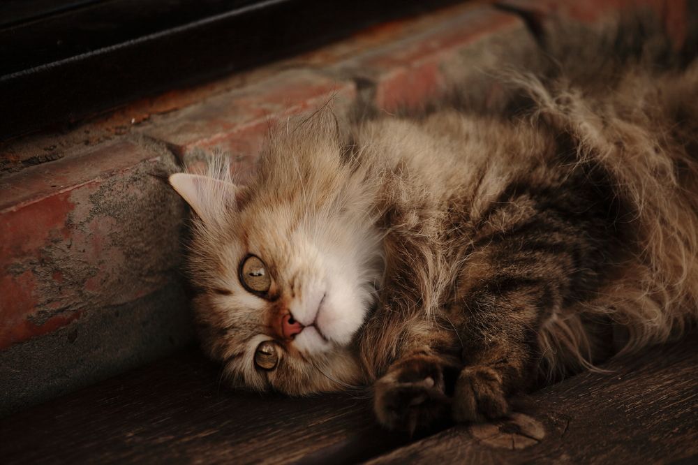 Photograph by Артур Крематорин