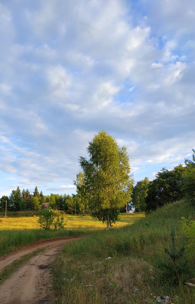 Photograph by Tatiana