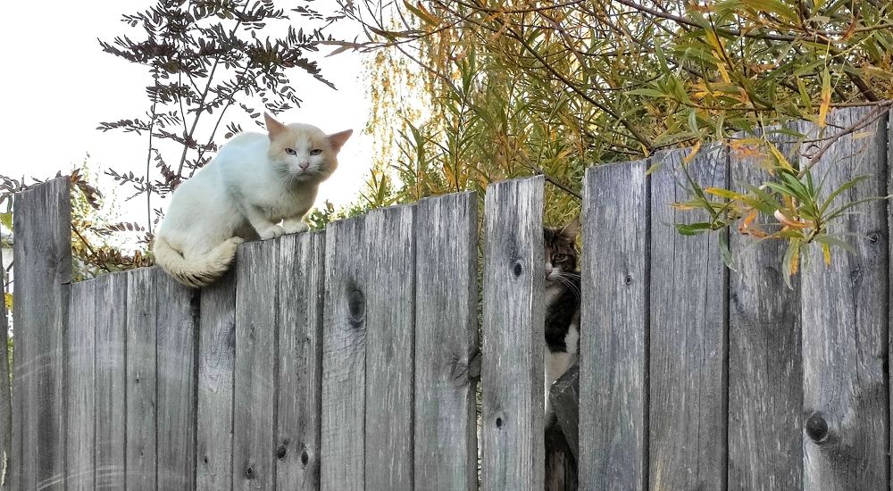 Photograph by Марина Артемьева