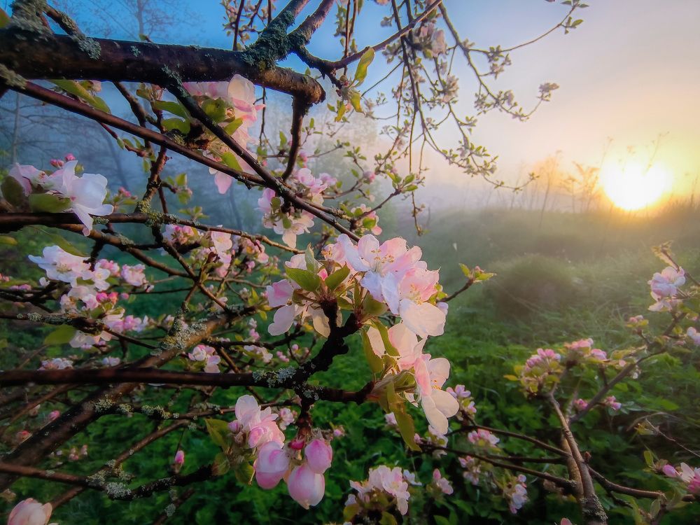 Photograph by Кондрашова Светлана