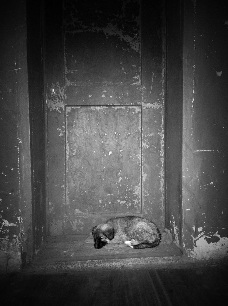 Photograph by Степанов Дмитрий