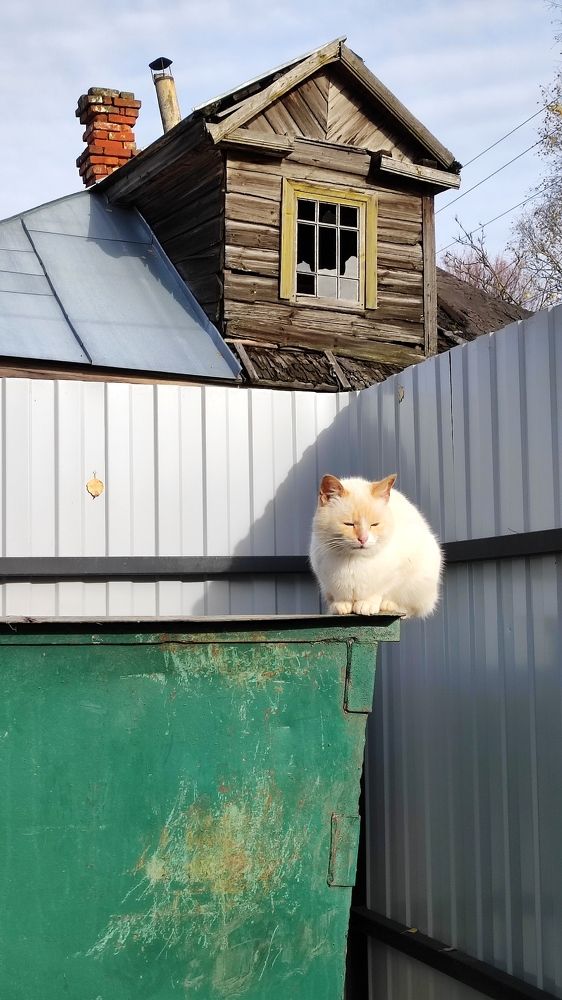 Photograph by Марина Артемьева