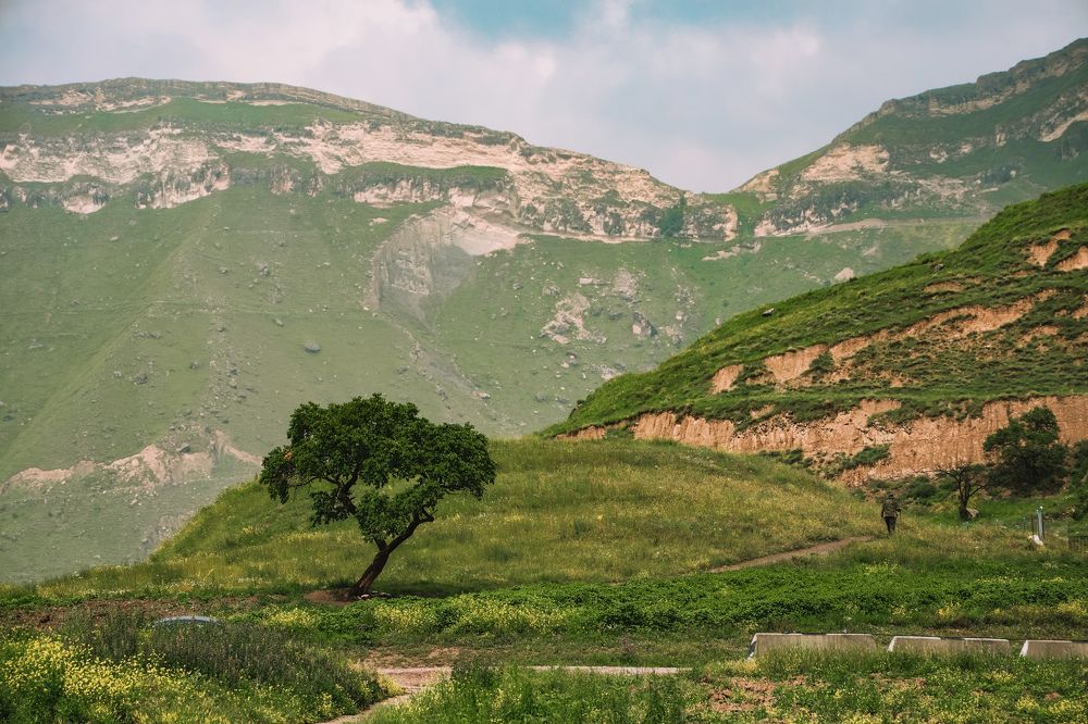 Photograph by Алексей Голубев