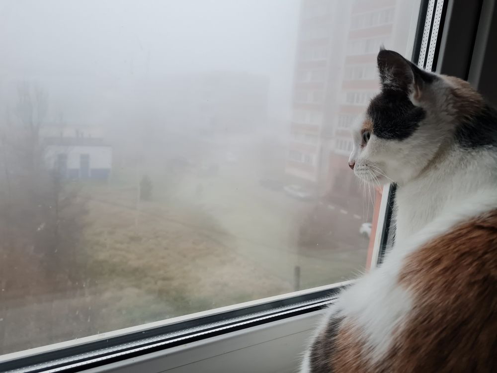 Photograph by Екатерина