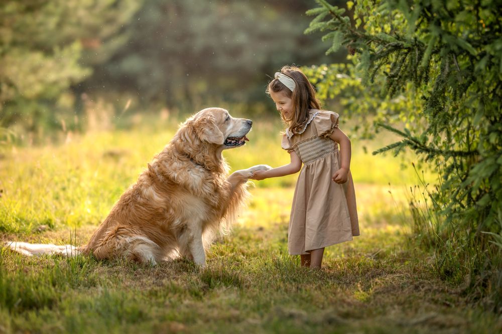 Фотография автора Sabina Snoch-Kruszyńska